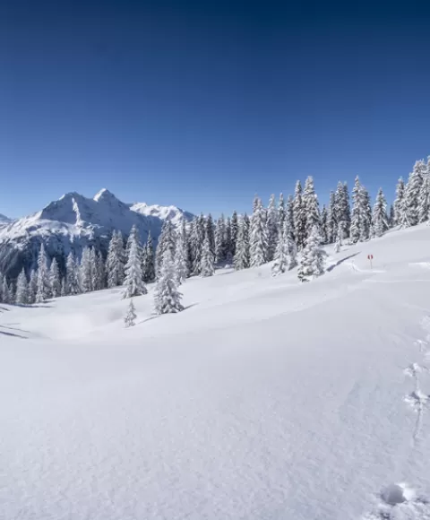 Station de ski Alpe d'Huez Les Bergers
